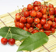 山形県産　さくらんぼ 500g