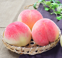 山梨／丸章ファーム産　朝もぎ桃