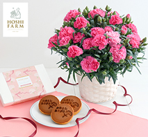 〔ホシファーム〕カーネーション鉢「ホットハート」＆徳島なると金時のどら焼き3個