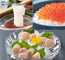 〔カネサン佐藤水産〕北海道お刺身セット