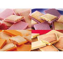 〔もりもと〕北海道果実チョコ&クッキー4種セット