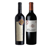 チリを代表するワイナリー 有名評論家100点獲得2本セット