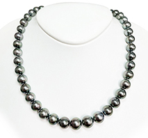 SV クロチョウパールネックレス