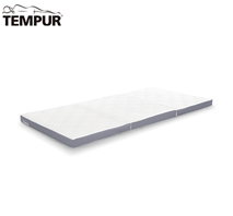 〔テンピュール®〕ワンリュクスフトン
