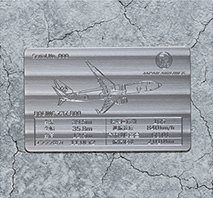 JALフリート記念チタンプレート(737-800)