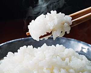 〔山形の極み〕山形県産　雪若丸