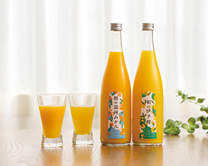 〔日本の極み〕朝のジュース