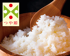〔山形の極み〕特別栽培米 山形県産厳選つや姫