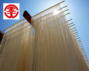 〔キンダイ〕小豆島手延 オリーブ素麺詰合せ