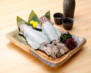 するめいかの姿造り