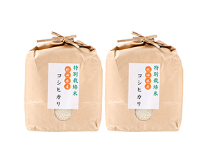 〔相馬屋〕伊藤さんの特別栽培米 秋田県産コシヒカリ