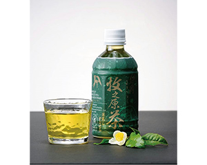 〔高柳製茶〕牧之原の雫茶プレミアムペットボトル