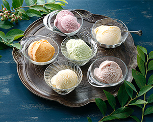 〔乳蔵〕北海道アイスクリーム詰合せ