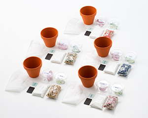 フラワーポッドキット