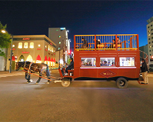 HOTEL & CAFE NUPKA　馬車BARツアーペア