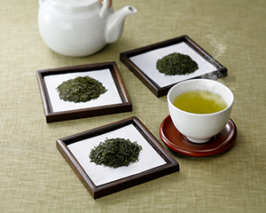 〔鹿児島製茶〕かごしま知覧茶 飲み比べセット