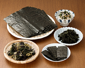 〔今野商店〕海苔ソムリエが選ぶ海苔・海藻詰合せ