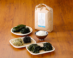 〔齋田農園〕舎の幸セット