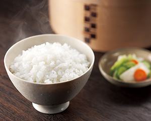 山形県庄内産　はえぬきパックご飯