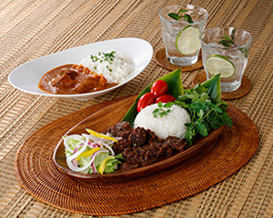 〔鵜舞屋〕飛騨牛ルンダン＆カレー詰合せ