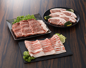 熊野ポークセット