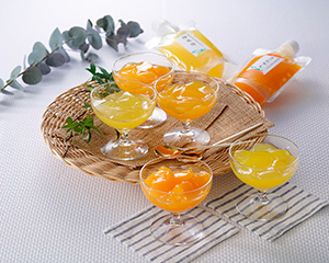 〔田那部青果〕ちゅうちゅうゼリー詰合せ