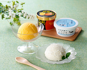 〔有限会社高知アイス〕高知アイスの高級アイスセット