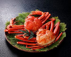 〔境港産紅ズワイガニ〕塩茹で紅ずわいがに