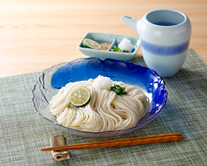〔理研農産化工〕手延べうどん　ほとめく