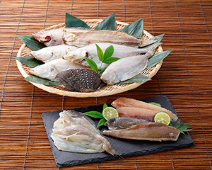 カレイ専門店　厳選　国産干かれい9種詰合せ