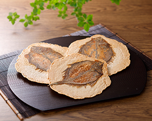 かれいまるごと魚拓せんべい9枚