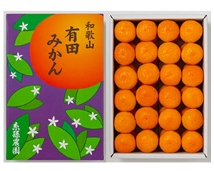 〔糸孫農園〕和歌山県産 有田みかん