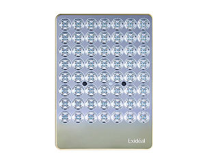 〔Exidéal〕エクスイディアル ドゥ