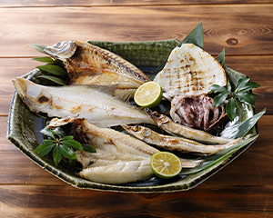 〔出雲干し〕干物セット