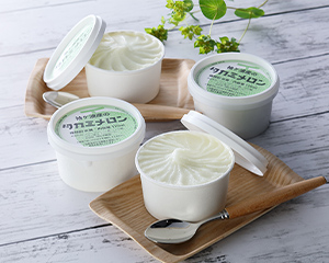 〔メディアサイトウ〕タカミメロンシャーベット詰合せ