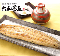 〔大和養魚〕浜名湖うなぎ白焼