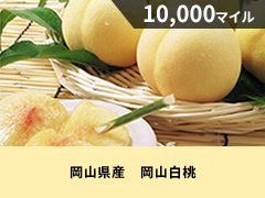 岡山県産　岡山白桃